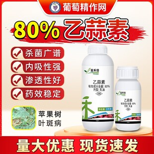 ������80% ��̱��������������O���~�߲����������������rș�r��