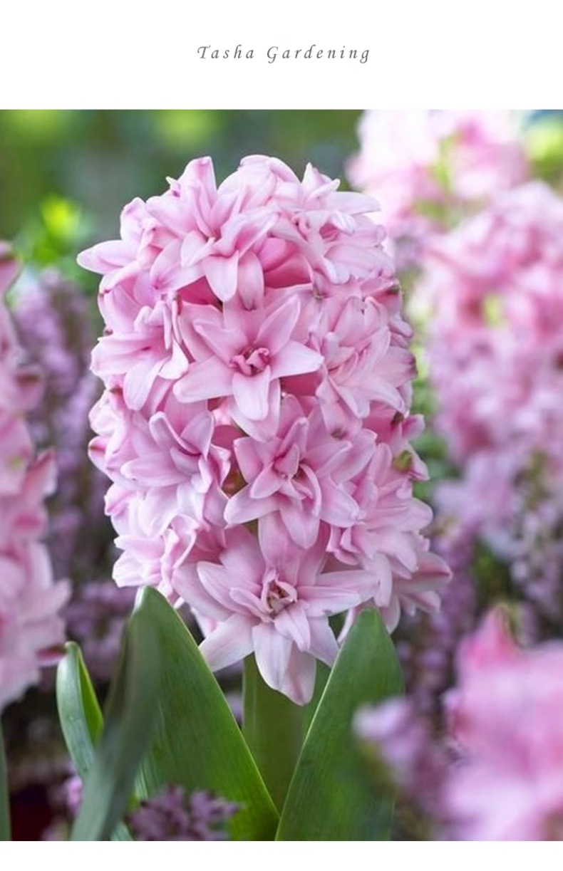 YJH_一键复制_20240722221433