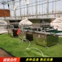 种植育苗不锈钢番茄播种机