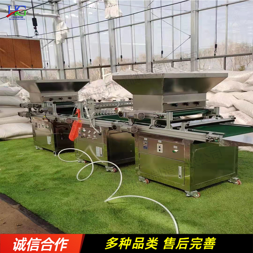 全自动穴盘育苗机 辣椒白菜秧苗压穴播种机 蔬菜花卉种子点播机