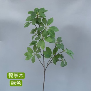 ����Gֲ��Ʒ����ľ�[�O�͏d�������Ҿ��b[���ɻ����ܼҾ�