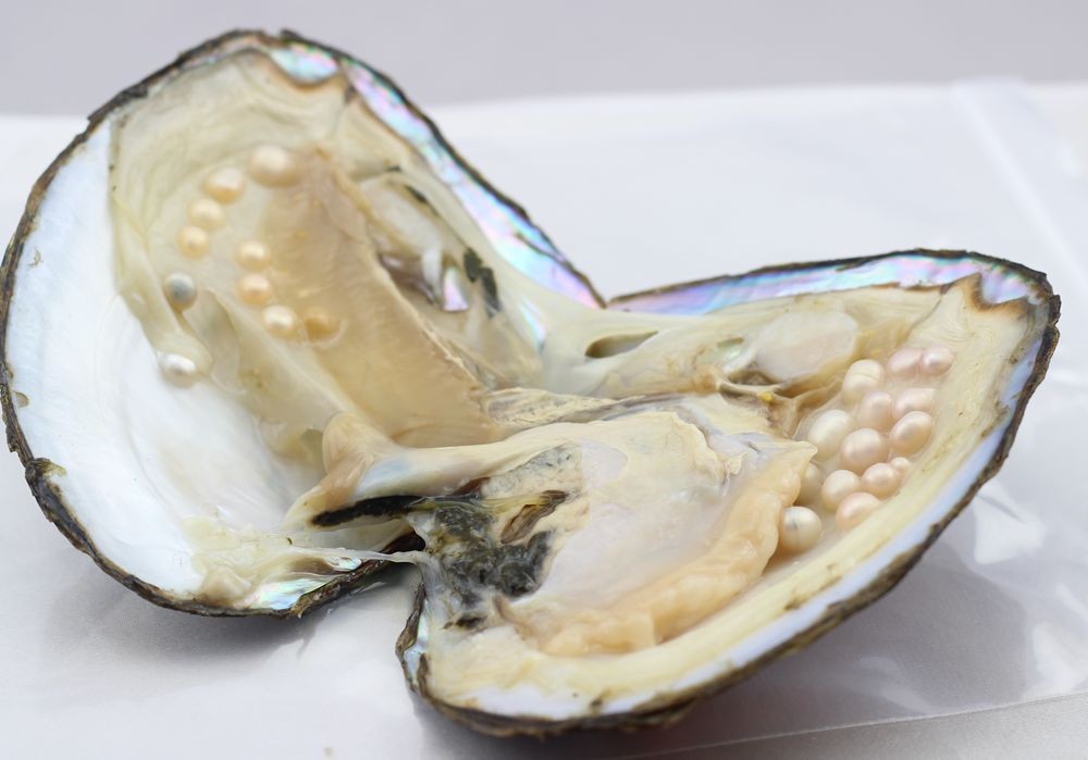 4064665034_1283630945