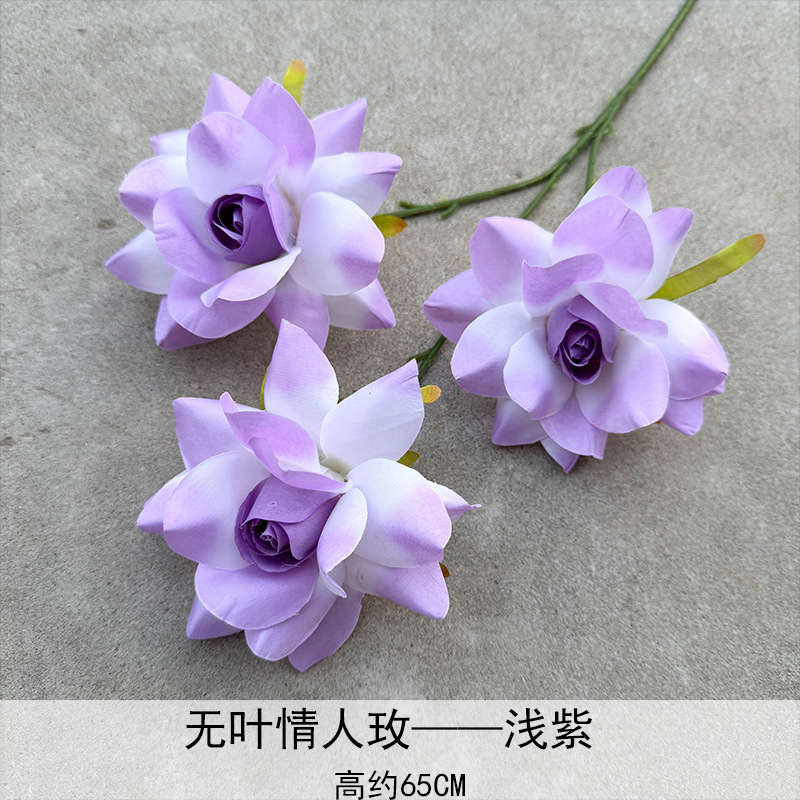 Amantes sin hojas Mei Púrpura