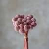 Pink (a bunch of 20 pieces)