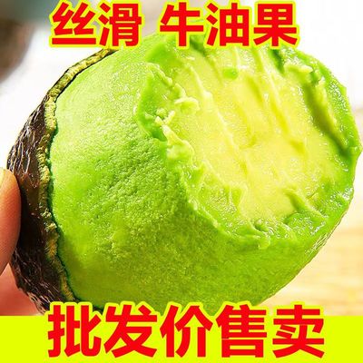 Avocado wholesale Mexico fresh Large fruit fruit Season baby Complementary food Office Gifts snack