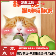 牛油果猫薄荷球套装虫瘿果猫玩具磨牙洁齿自嗨逗猫玩具球宠物用品