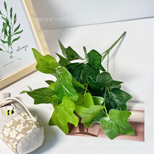 ����Gֲ ����7���^�z�ع��~�����b����ԾG�~�宋�Gֲ���b�ˇ