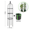 Plant lamp for side table, climbing frame, tubing, suitable for import, can climb, wholesale