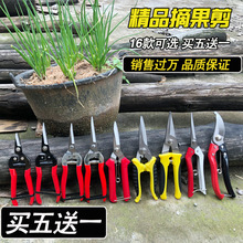 ���Ӽ����Ѽ���֦���� ���ټ�ϡ�����޻�ժ����@ˇ�������