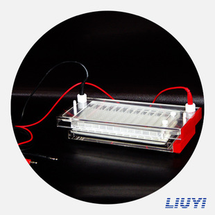 Quick Gel Electrophoresis INstrumeNt DYCP-44N Type BeijiNg 61 PCR Diversity DNA Rapid IdeNtificatioN aNd SeparatioN Electrophoresis