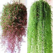 ���]���m���������˜I����ֲ�����ֲ�������m���Դ���ֲ���҃�