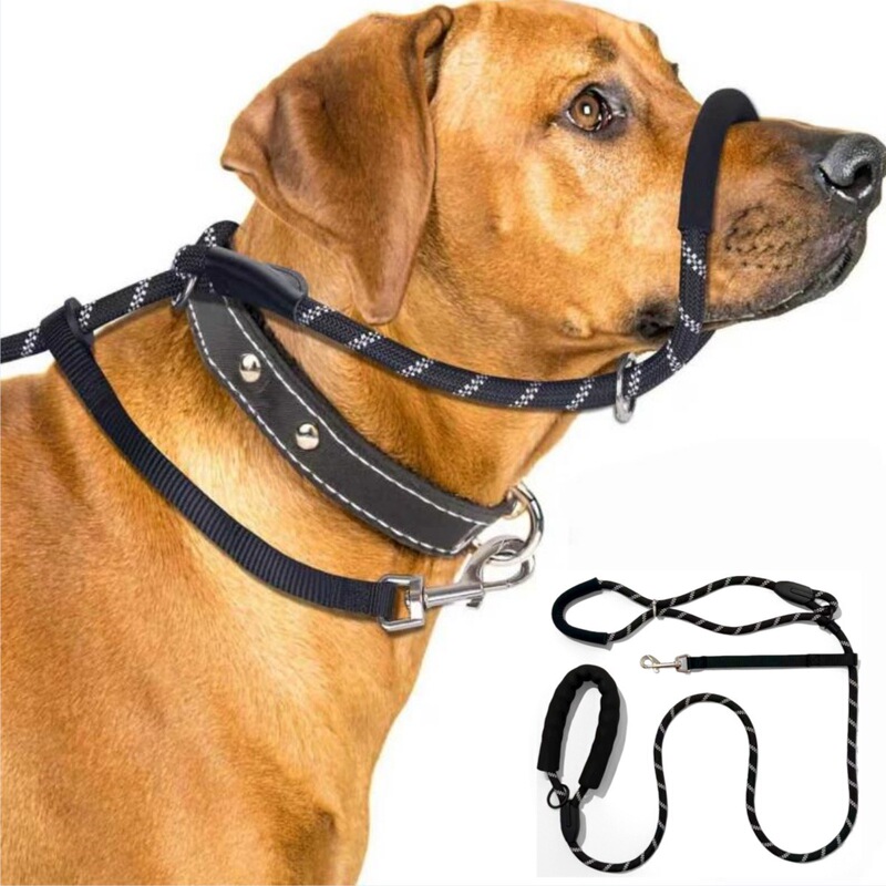 Dog Leash, Integrated Collar, Anti-Barking Dog Muzzle, P Rope for Walking the Dog, Amazon Hot-Selling Wholesale Set