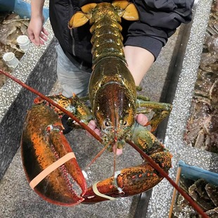 ������ʿ�D���r1��9�ﳬ����r�����r���ô����͏d����һ�����l