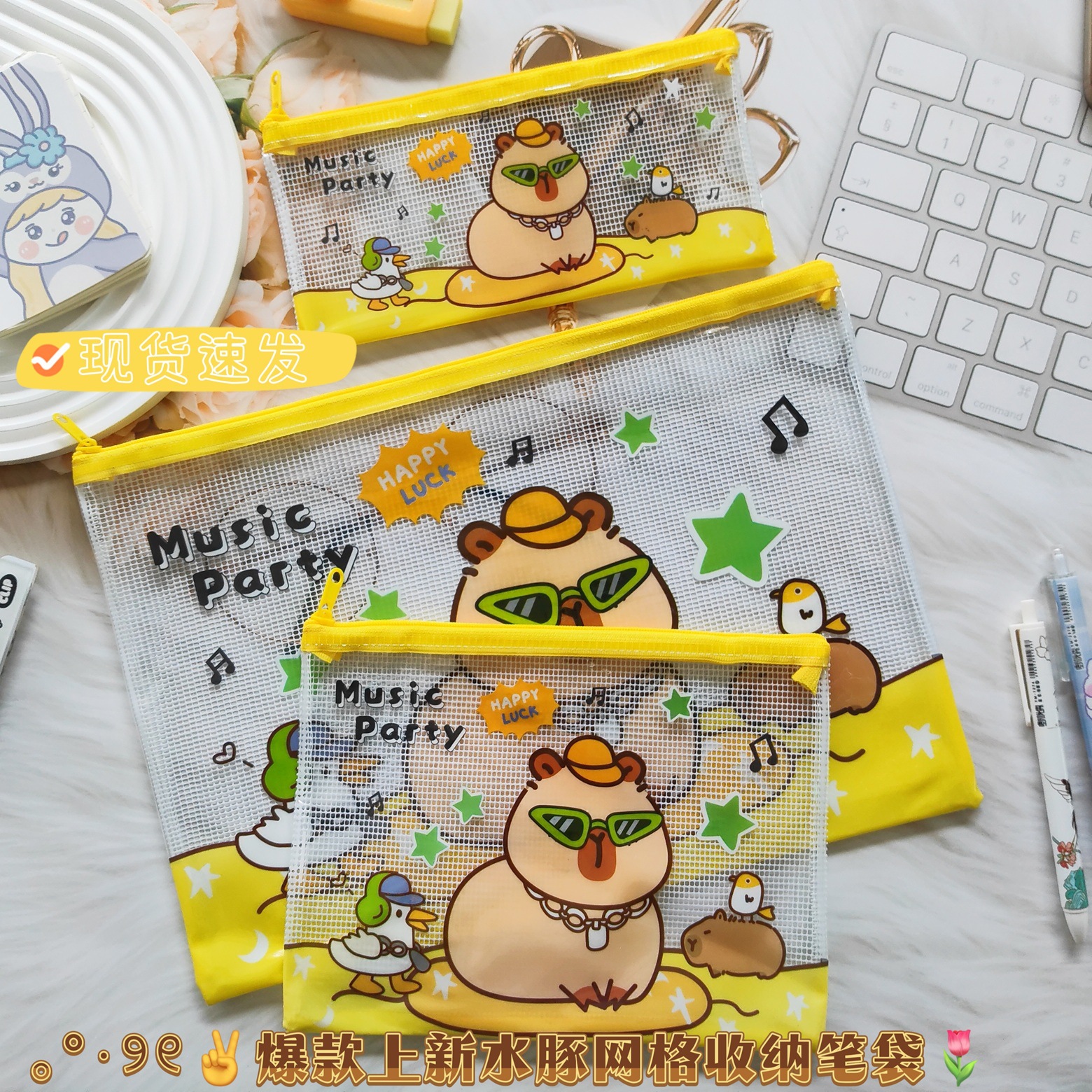 메쉬 파일백 카피바라 고급 필통 대용량 여학생 문구 수납 가방 만화 지퍼백