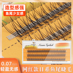 Wholesale scarecrow 0.07 natural thick fishtail European and American hot melt swallowtail segmented single cluster grafted false eyelashes