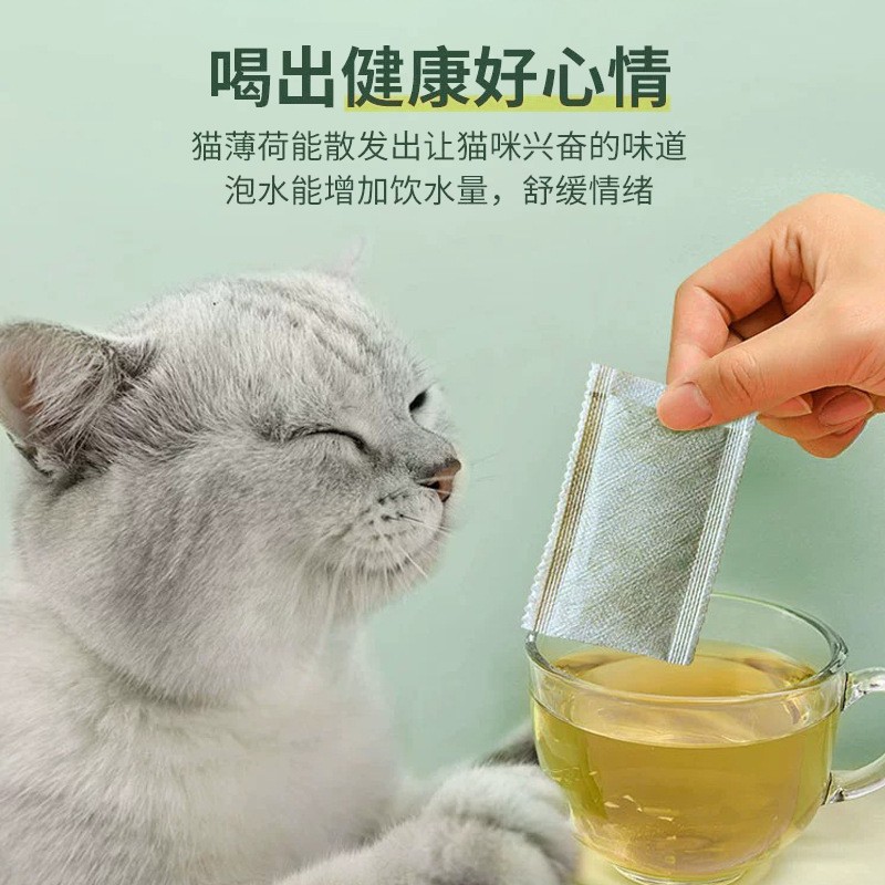 Bolsas de té de menta para gatos ayudan a beber agua, comestibles para regular el estado de ánimo de los gatos, menta para gatos para atraer a los gatos para beber agua artefacto mágico