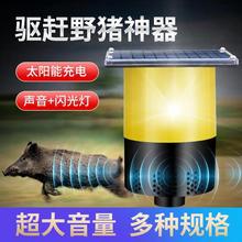 ������s�����i̫���Ұ�F���׵ص��r��������ȹ������W��