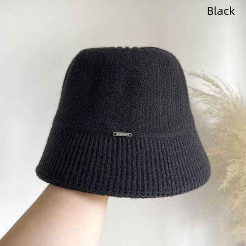 Hat autumn and winter women's small metal letter mark warm woolen hat women's ear protection hat knitted hat showing face small basin hat trendy
