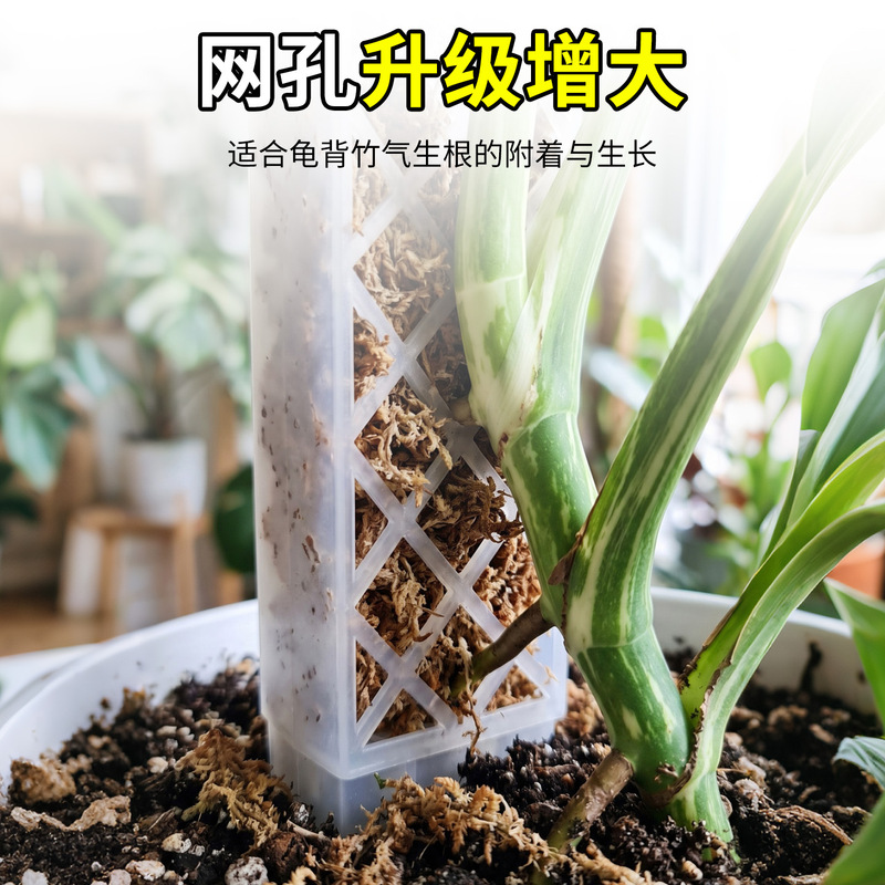 Wholesale Interlocking Sphagnum Moss Plant Support Columns for Monstera, Pothos, and Other Climbing Plants with Ground Stakes Wholesale Interlocking Sphagnum Moss Plant Support Columns for Monstera, Pothos, and Other Climbing Plants with Ground Stakes