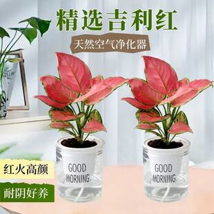���輪������ʺ����Կ͏d�k���҃ȾGֲ������ֲؔ��ˮ����B
