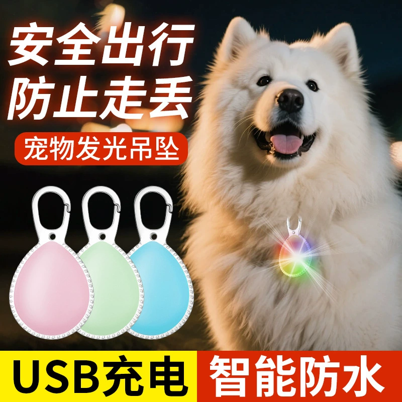 Новый ошейник для ночного прогулочного собаки, светящийся светодиодный ошейник с зарядкой, светящийся анти-потерянный кулон для домашних животных
