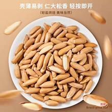 新货巴西松子1000g大颗粒薄壳手剥松子原味坚果零食批发罐装250g