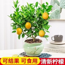 ��ˮ���ʘ�����ֲ���ۘ��҃ȿ͏d�����B����Y����ʳ�þW�t�Gֲ