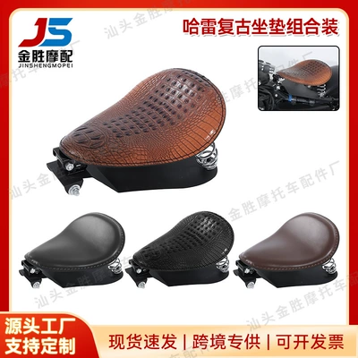 Bikes, Iron Horse 400 Retro, Motorcycle cushion