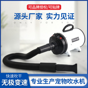 Carefully Selected Chaun Pet Hair Dryer Cross-Border Stepless Speed Adjustment Dog Pet Hair Dryer Teddy Pet Hair Drying Supplies
