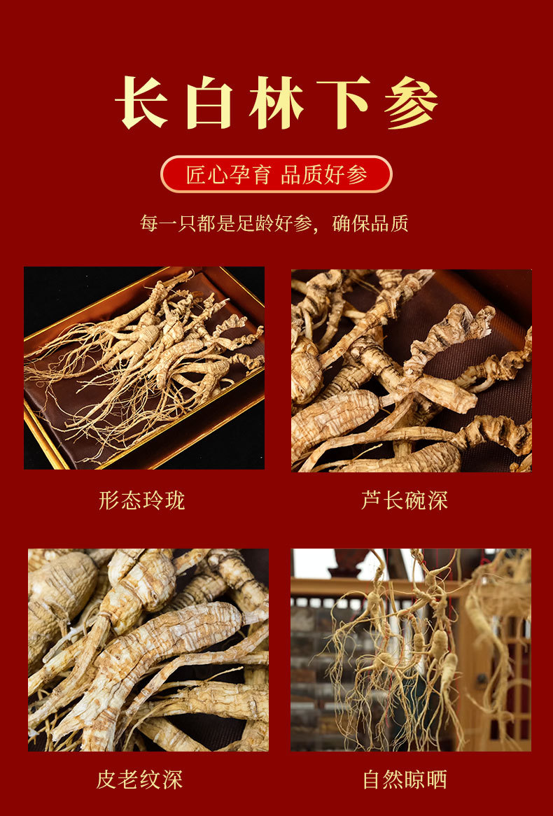 Dried Forest Ginseng Roots Sun Dried Jilin Changbai Mountain 50g Gift Box key features
