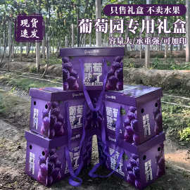 高档葡萄包装盒礼盒空盒阳光玫瑰晴王巨峰夏黑通用礼品盒现货批发