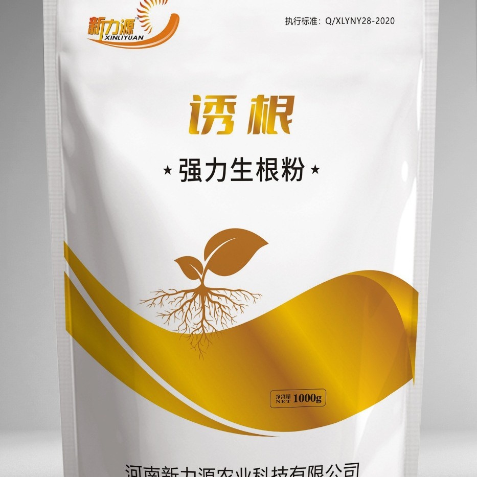 2024-11-05 11:24:38.jpg