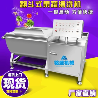 定制加工全自动智能洗菜机 商用翻斗式清洗机 洗肉机