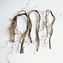 树藤枯藤藤条装饰藤蔓室内阳台树绿植墙面装饰树枝假植物枝干