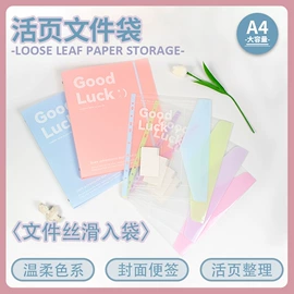 文件袋;文件夹;文件包