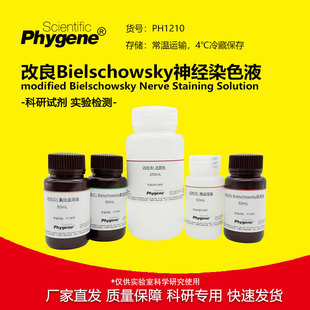 ����Bielschowsky��ȾɫҺԇ���� ���Ⱦɫ [PH1210 PHYGENE]