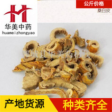 ɣ��Ƥ1000���A����ș�����l�F؛����ɣƤԴ�^�S������ă�