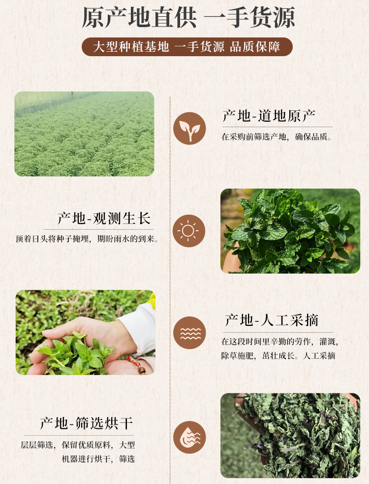 Dried Mint Leaves Bo He Ye 500g Loose Herbal Tea Fresh Aroma for Daily Infusions quality and texture