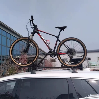 Bike, Bicycle Fixed Rack, Car bike rack - black-standard-version