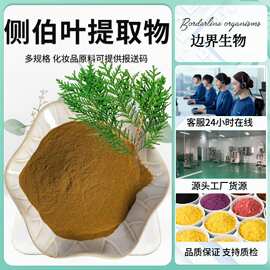 侧柏叶提取物20:1侧柏叶粉水溶高比例萃取1kg/袋现货