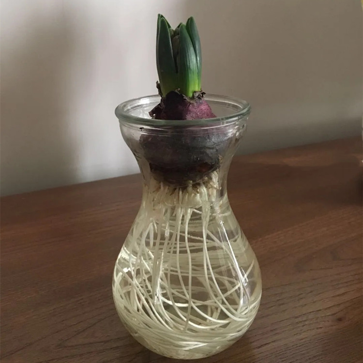 src=http___ss2.meipian.me_user