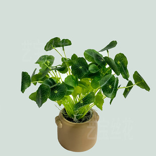 �����~�X�~ �~��С���~�~���b��������쾰�b����[�Ż�