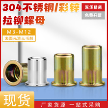 304���P�ƽ�^�Q�y���T��ĸ �L�����T��ĸ僲��\���T��ĸM3M4-M12