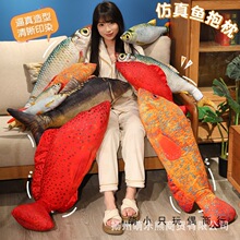 �羳�~����ë�q��ߺ����^�o��Y�ͯ�Y��ë�q������l
