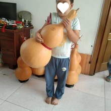 ���J�������С̖�͏d�����k���Ҕ[�����ˌ����������^���l