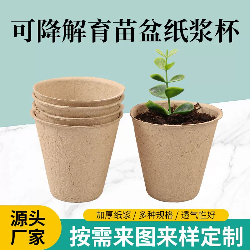 可降解环保纸托盘育苗盆圆形纸浆杯种植基材加工订制