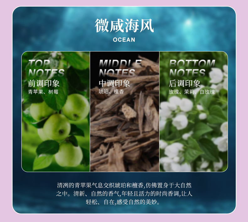 Car Aromatherapy Car High-end Perfume Lasting Light Fragrance Men's Car Fragrance Deodorization High-end Sense Women's Decorative Ornaments
