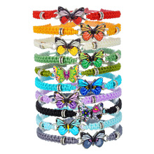 �羳��������Ʒ���Ժ�������Ůѧ�����������֯�ɵ��ڵ����ִ�Ů