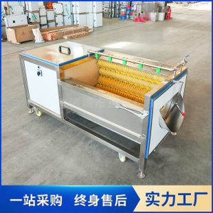 Customized Fully Automatic Conch and Shellfish Brush Cleaning Machine Manufacturer Supply Large Lotus Root and Sweet Potato Peeling and Grinding Machine