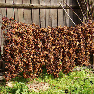 �|���Ģ��؛�ɹ����Ұɽ�����I�B����خa���Ģ�|��Ұ��Ģ��